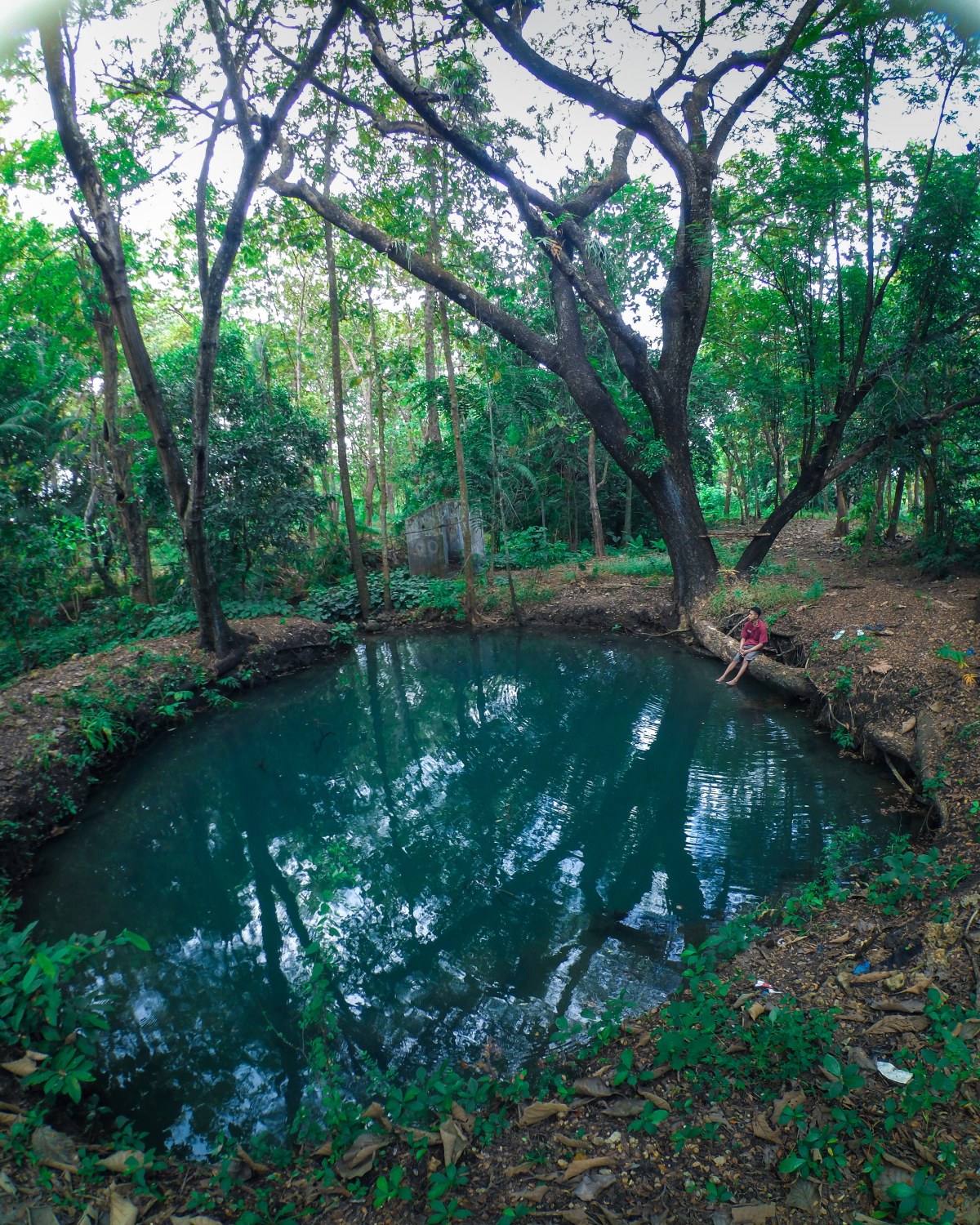 Sendang Gede, Telaga Biru dari&nbsp;Ngawi